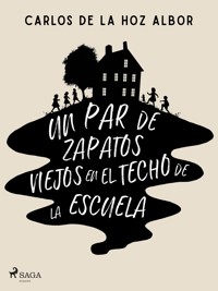 Un par de zapatos viejos en el techo de la escuela - Carlos Adolfo De La Hoz Albor - ebook
