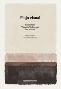 Flujo visual - Lois Patiño - ebook