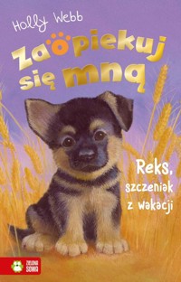 Zaopiekuj się mną Reks, szczeniak z wakacji - Holly Webb - książka
