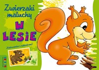 Zwierzaki maluchy - W lesie -  - książka
