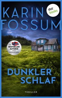 Dunkler Schlaf - Fossum Karin - ebook