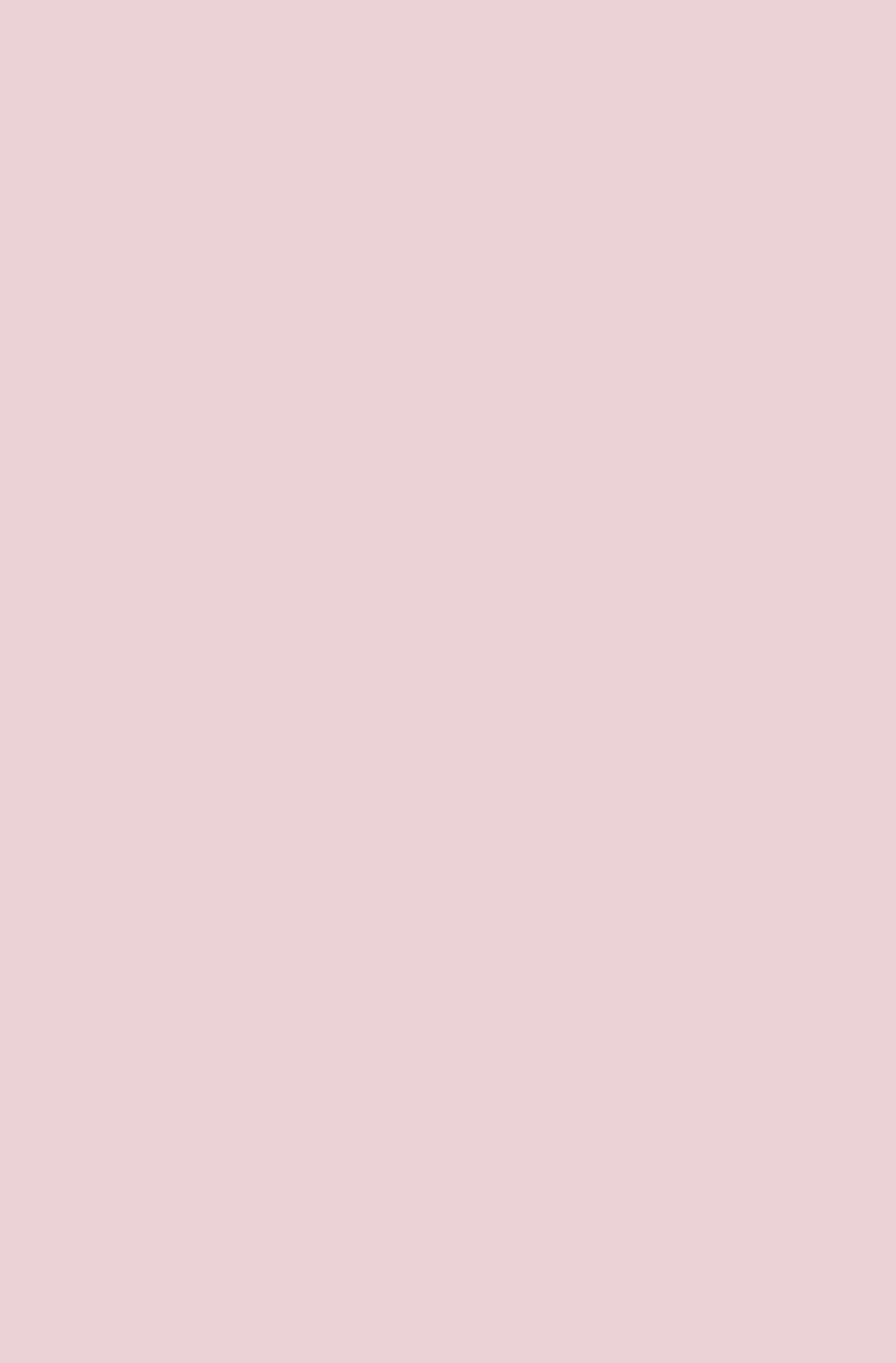 NSU-Terror