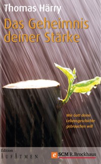 Das Geheimnis deiner Stärke - Thomas Härry - ebook