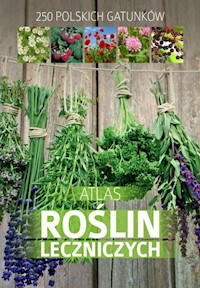 Atlas roślin leczniczych - Mederska Małgorzata - książka