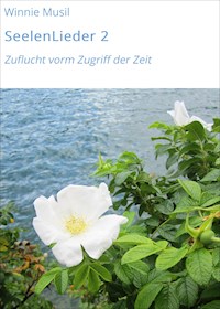 SeelenLieder 2 - Winnie Musil - ebook