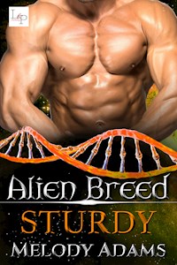 Sturdy - Melody Adams - ebook