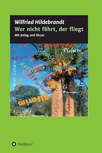 Wer nicht fährt, der fliegt - Wilfried Hildebrandt - ebook