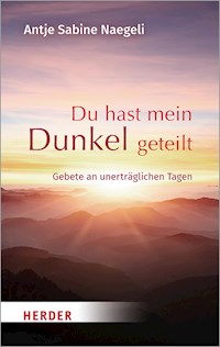 Du hast mein Dunkel geteilt - Antje Sabine Naegeli - ebook