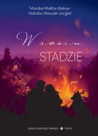 W swoim stadzie - Malita-Bekier Monika, Waszak-Jurgiel Natalia - ebook