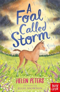 A Foal Called Storm - Peters Helen, Helen Peters - ebook