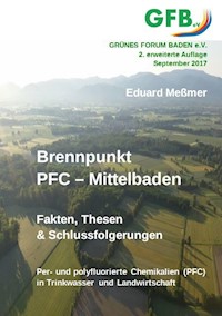 Brennpunkt PFC - Mittelbaden - Eduard Meßmer - ebook