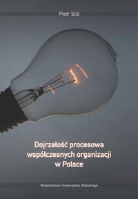 Dojrzałość procesowa współczesnych organizacji w Polsce - Sliż Piotr - książka