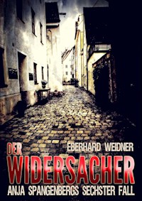DER WIDERSACHER - Eberhard Weidner - ebook