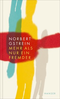 Mehr als nur ein Fremder - Gstrein Norbert - ebook