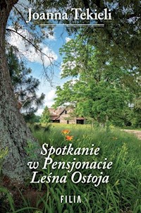 Spotkanie w Pensjonacie Leśna Ostoja - Joanna Tekieli - ebook + książka