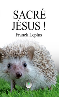 Sacré Jésus ! - Franck Leplus - ebook