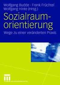 Sozialraumorientierung -  - ebook