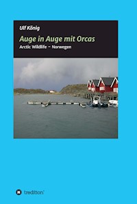 Auge in Auge mit Orcas - Ulf König - ebook