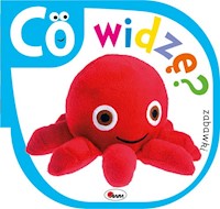 Co widzę Zabawki - Kozera Piotr - książka
