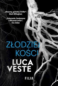 Złodziej kości - Luca Veste - książka