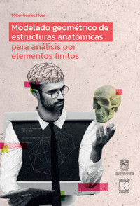 Modelado geométrico de estructuras anatómicas para análisis por elementos finitos - Miller Gómez Mora - ebook