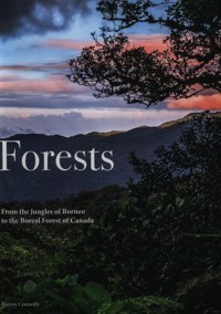 Forests - Connolly Kieron - książka