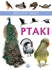 Zwierzęta świata Ptaki -  - książka