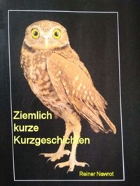 Ziemlich kurze Kurzgeschichten - reiner nawrot - ebook