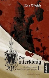 Der Winterkönig. Geschichten des Dreißigjährigen Krieges - Jörg Olbrich - ebook