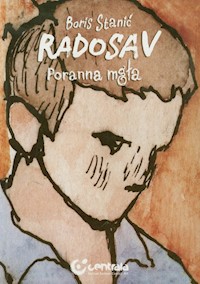 Radosav Poranna mgła - Stanić Boris - książka