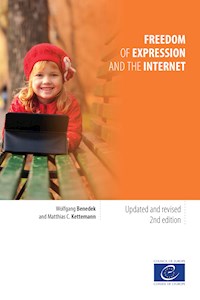 Freedom of expression and the internet - Wolfgang Benedek - ebook