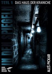 In den Spiegeln - Teil 1 - Aleš Pickar - ebook