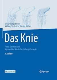 Das Knie - MIchael Jagodzinski - ebook