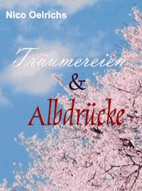 Träumereien und Albdrücke - Nico Oelrichs - ebook