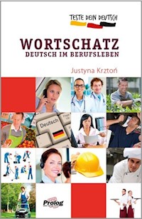Teste Dein Deutsch  Wortschatz Deutsch im Beruf - Krztoń Justyna - książka
