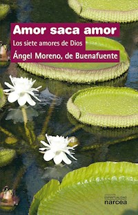 Amor saca amor - Ángel Moreno de Buenafuente - ebook