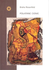 Połatane cienie - Rosenfeld Braha - książka