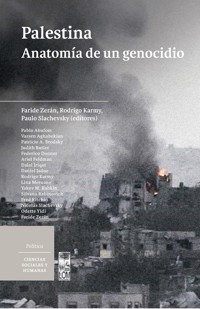 Palestina anatomía de un genocidio - VV. AA. - ebook