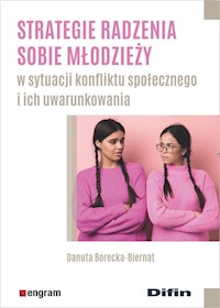 Strategie radzenia sobie młodzieży w sytuacji konfliktu społecznego i ich uwarunkowania - Borecka-Biernat Danuta - książka
