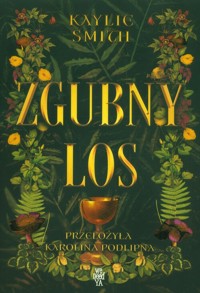 Zgubny los - Smith Kaylie - ebook + audiobook + książka