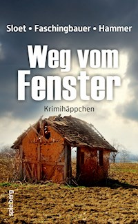 Weg vom Fenster - Rolf Peter Sloet - darmowy ebook