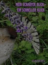 mein _scharfer_BLICK☆ein_schneller-KLICK☆IDEE+GLÜCK - RAYMONDi - ebook