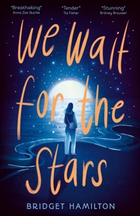 We Wait for the Stars - Bridget Hamilton - ebook