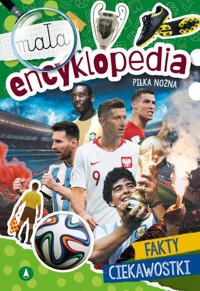 Piłka nożna. Mała encyklopedia - Michał Wójcik - książka