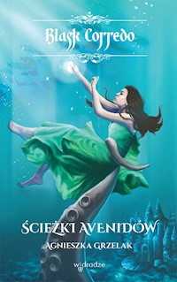 Ścieżki Avenidów - Agnieszka Grzelak - książka