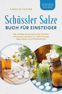 Schüssler Salze Buch für Einsteiger: Die richtige Anwendung der 27 Salze individuell und leicht für mehr Energie, Gesundheit und Wohlbefinden - Schritt für Schritt von der Theorie bis zur Praxis - Karolin Fischer - ebook