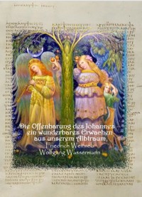 Die Offenbarung des Johannes - ein wunderbares Erwachen aus unserem Albtraum - Wolfgang Wassermann - ebook