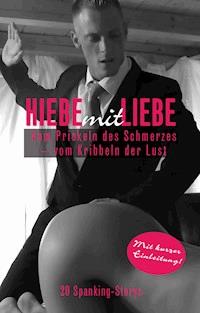 Hiebe mit Liebe - Anna Zech - ebook