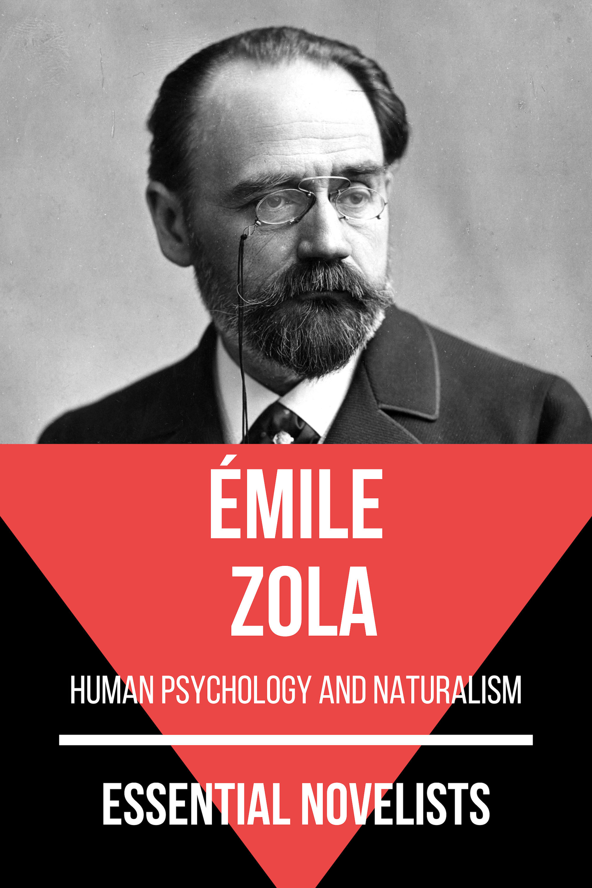 Essential Novelists - Émile Zola - Emile Zola - ebook