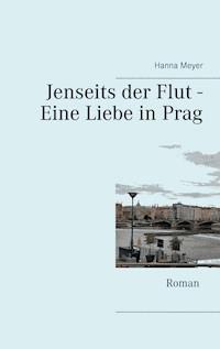Jenseits der Flut - Eine Liebe in Prag - Hanna Meyer - ebook